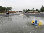 Vĩnh Phúc: Kiểm tra tiến độ thực hiện một số dự án thuộc Chương trình nông thôn miền núi