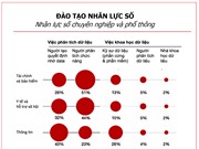 Thị trường dữ liệu đang cần nhân lực ở phân khúc nào?