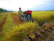 Bộ KH&CN: Tăng cường năng lực cho các cơ sở nghiên cứu và triển khai tại ĐBSCL