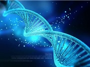 THÔNG BÁO: Hội thảo khoa học “Một số kết quả nghiên cứu hệ gen người Việt Nam” của Viện Hàn lâm Khoa học và Công nghệ Việt Nam