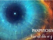 Câu trả lời cho Vấn đề Khó giải: Vạn vật đều có ý thức (Panpsychism)