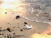 Ánh sáng Mặt trời giúp phân hủy nhựa