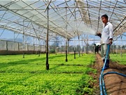 Sắp diễn ra triển lãm Công nghệ Nông Lâm Ngư nghiệp GROWTECH Việt Nam 2019