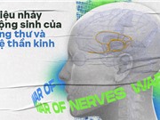 Điệu nhảy cộng sinh của ung thư và hệ thần kinh: Y học đang bước chân vào một miền đất hứa mới