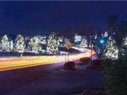 Tiếng ồn đô thị làm đột quỵ thêm trầm trọng
