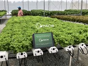 Việt Nam tham dự Hội nghị hợp tác Đổi mới sáng tạo khu vực Châu á - Vương quốc Anh