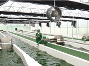 Các trường đại học - Mắt xích thiết yếu trong chuyển giao công nghệ
