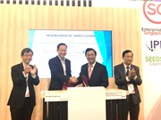 Techfest Việt Nam ở Singapore: Đưa startup Việt sang những thị trường tốt nhất