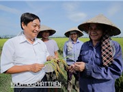 Cha đẻ của siêu lúa hoa phượng đỏ 