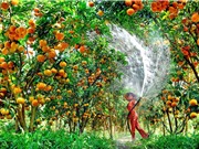 Câu chuyện một món nợ