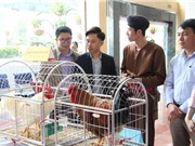 Trung du và miền núi phía Bắc: Những tiềm năng khởi nghiệp cần được kết nối