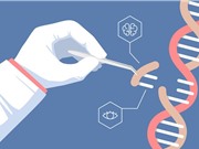 Công nghệ chỉnh sửa gene thắp hy vọng cho nhiều bệnh nhân