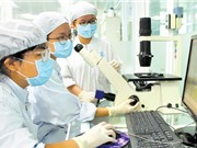 Dự án FIRST - Một kênh đầu tư hiệu quả