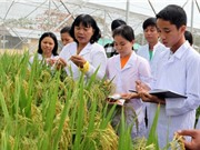 Tài liệu hỗ trợ đánh giá, giám sát các tổ chức KH&CN công lập 