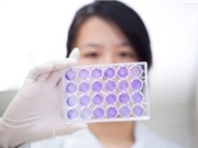 Vabiotech: Triển khai công nghệ multibac