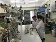 Xử lý rác thải nhựa bằng nguyên liệu di truyền bản địa