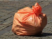 Sâu bột giải quyết vấn đề rác thải nhựa