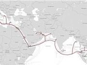 Ba tuyến cáp quang biển cùng gặp sự cố, dung lượng đường truyền Internet quốc tế giảm 30%