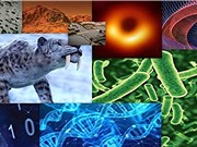 Dấu ấn khoa học nổi bật năm 2019