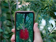 Số hóa không làm cuộc sống “xanh” hơn
