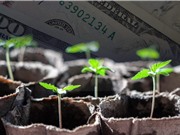 17 startup "hấp dẫn" nhất Việt Nam năm 2019