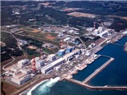 Fukushima muốn chuyển sang sử dụng toàn bộ năng lượng tái tạo 
