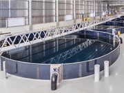 Nhà đầu tư Israel muốn sản xuất 10.000 tấn cá hồi mỗi năm tại Việt Nam