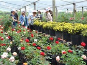 Câu chuyện sáng tạo hay không bao giờ hoàn hảo