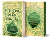 Đời sống bí ẩn của cây