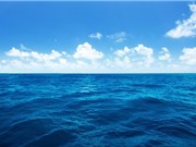 Chữa lành đại dương để chống biến đổi khí hậu
