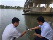 Bến Tre ban bố tình huống khẩn cấp do xâm nhập mặn