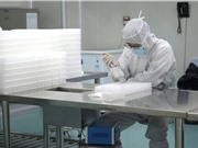 Các phòng thí nghiệm trên toàn thế giới gấp rút phân tích mẫu nCoV