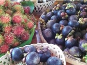 Cao chiết vỏ trái chôm chôm trị mụn trứng cá