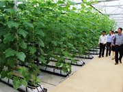 Thanh Hóa: Nâng cao hiệu quả ứng dụng của các đề tài, dự án KH&CN vào sản xuất và đời sống