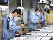 Dịch COVID-19: Dự báo thiệt hại kinh tế gấp 3-4 lần dịch SARS