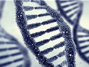 Trung Quốc khởi động dự án hệ gene sinh vật đơn bào