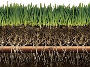 Hệ thống tưới ngầm kết hợp bón phân tự động