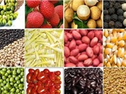 Xây dựng nhãn hiệu nhằm phát triển một số sản phẩm truyền thống trên địa bàn tỉnh Vĩnh Phúc giai đoạn 2016-2020
