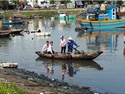 Chế phẩm vi sinh xử lý ô nhiễm chất thải hữu cơ