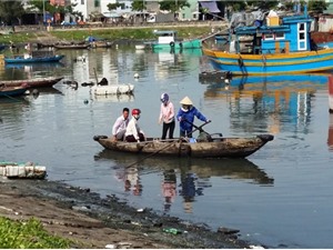 Chế phẩm vi sinh xử lý ô nhiễm chất thải hữu cơ