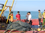 Các khu bảo tồn biển: Cần triển khai mô hình đồng quản lý
