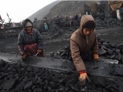 Đầu tư vào điện than đang thua lỗ