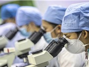 Trung Quốc: Chống sùng bái công bố quốc tế quá mức
