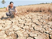 Xâm nhập mặn ĐBSCL giảm dần từ đầu tháng 4 