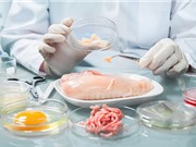 Tại sao cần phải ăn ít thịt động vật hơn?