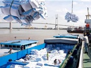 Tạm dừng ký hợp đồng xuất khẩu gạo mới