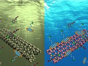 Khử ô nhiễm kim loại nặng trong nước bằng nanocarbon tích điện