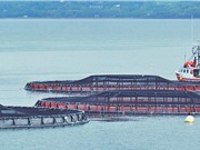 Singapore thúc đẩy nuôi trồng thủy sản bền vững  