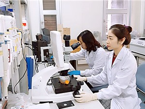Sáng chế và nghiên cứu của nhà khoa học Việt