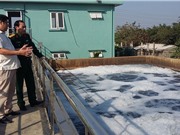 Giải pháp xử lý nước thải công nghiệp bằng nano sắt hóa trị 0